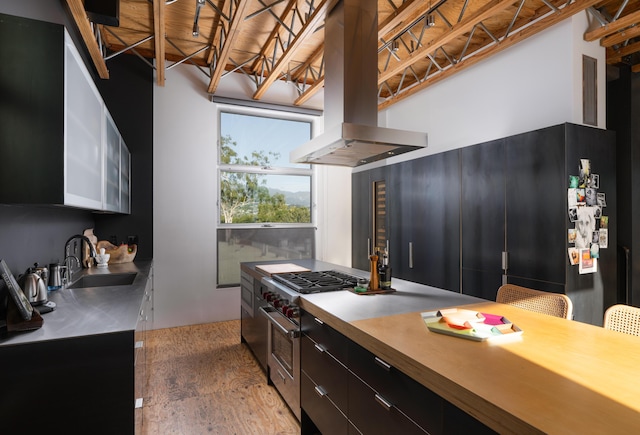 kitchen featuring wood-type flooring, sink, island range hood, and stainless steel range