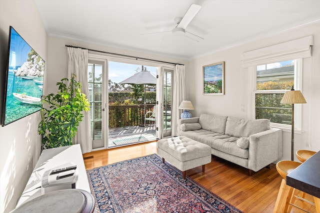 living room featuring ceiling fan, ornamental molding, plenty of natural light, and wood-type flooring