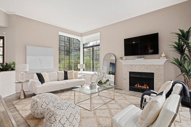 living room featuring ornamental molding, a fireplace, and light hardwood / wood-style floors