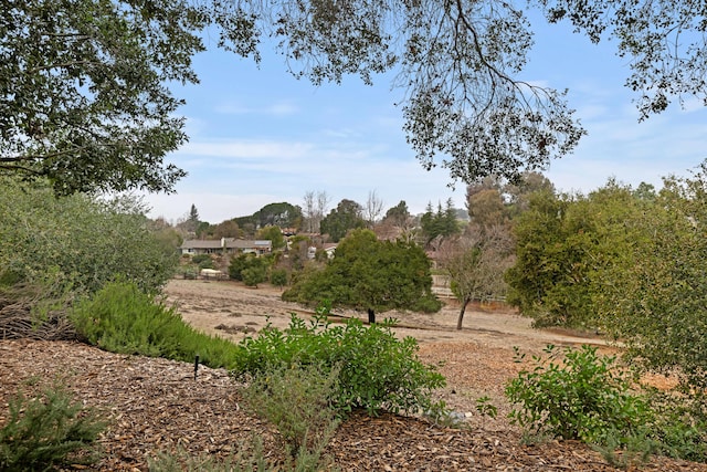 view of landscape