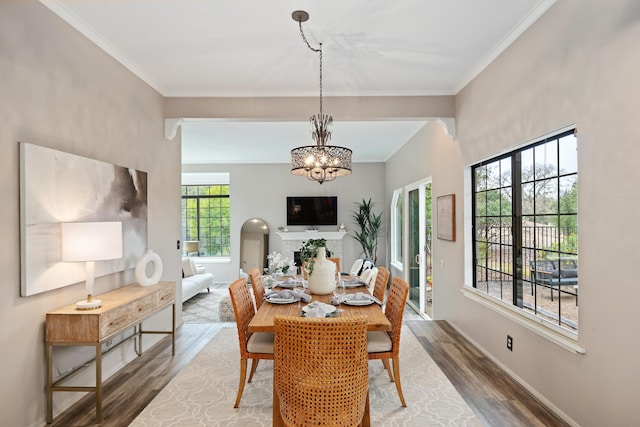 dining room with crown molding, hardwood / wood-style floors, and an inviting chandelier