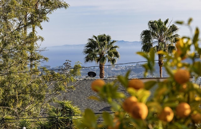 exterior details with a mountain view