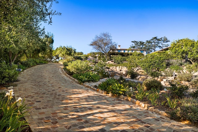 4230 Cresta Ave, Santa Barbara, CA 93110 - view of surrounding community