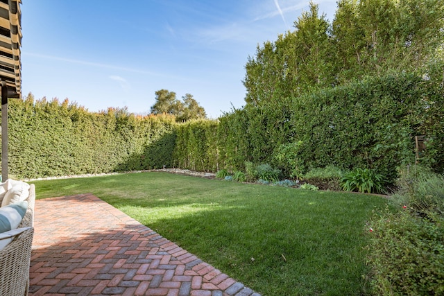 view of yard with a patio area