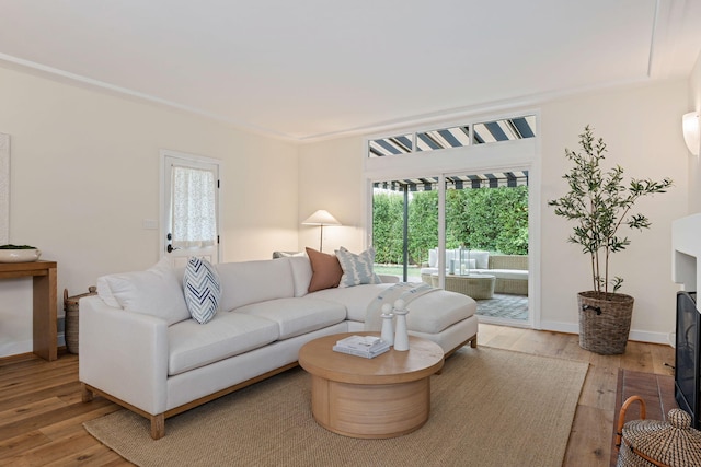 living room with hardwood / wood-style flooring