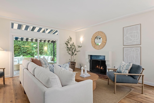 living room featuring light hardwood / wood-style flooring