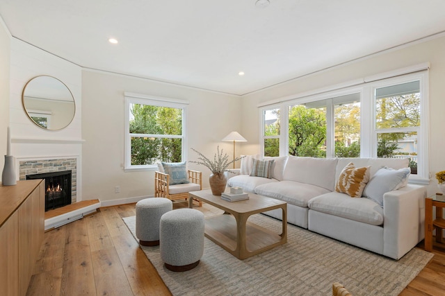 living room with a fireplace and light hardwood / wood-style floors