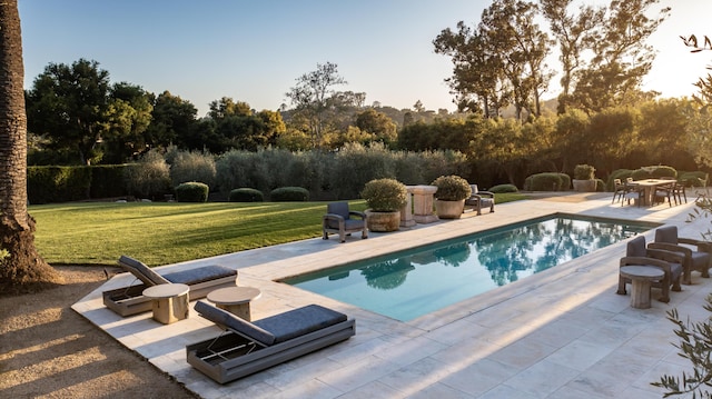 view of swimming pool featuring a yard and a patio area