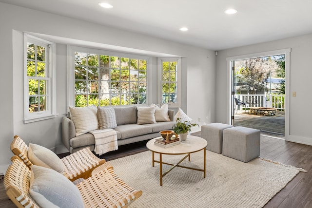 living room with hardwood / wood-style flooring