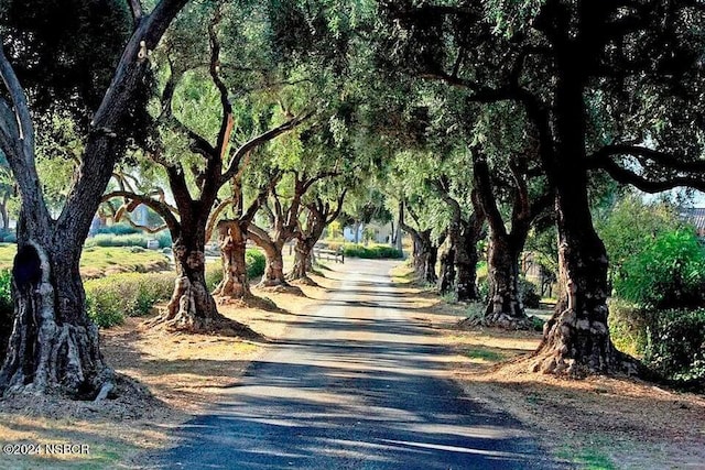 view of street