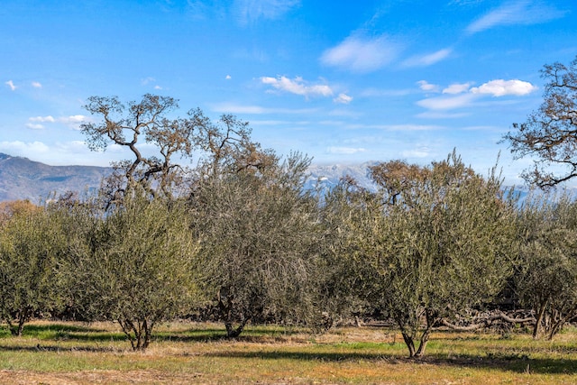 exterior space featuring a rural view and a mountain view