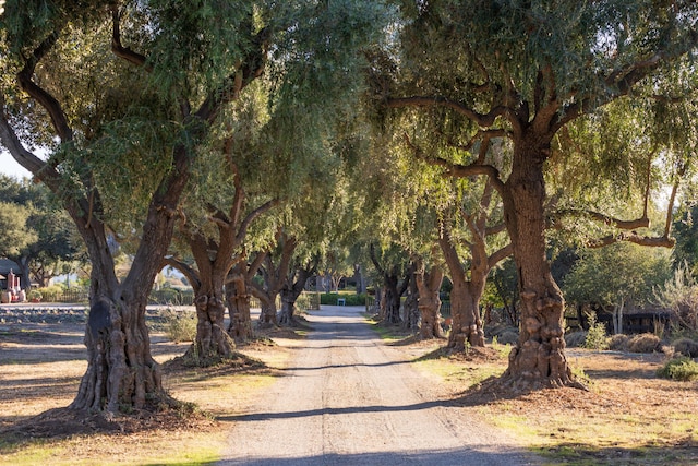 view of street