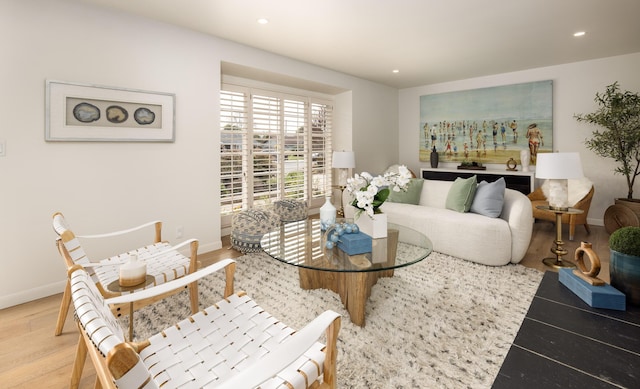 living room featuring hardwood / wood-style flooring