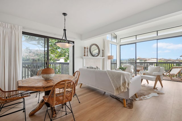 dining area with light hardwood / wood-style flooring