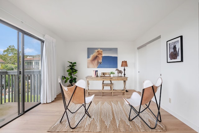 living area with light hardwood / wood-style floors