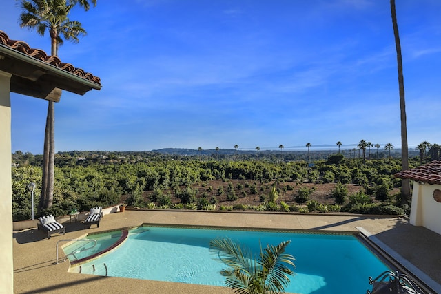 view of swimming pool with a patio