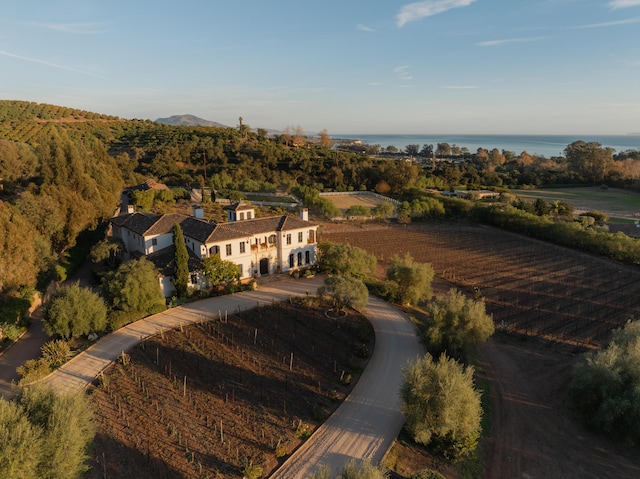 aerial view with a water view