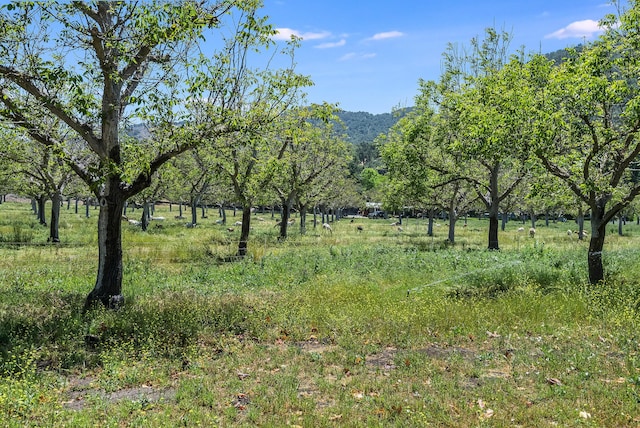 view of landscape