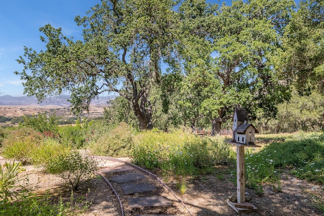 view of yard with a mountain view