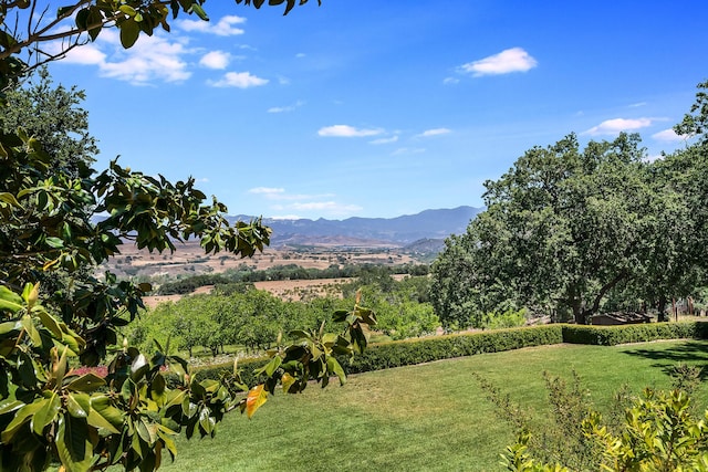 view of yard with a mountain view and a rural view