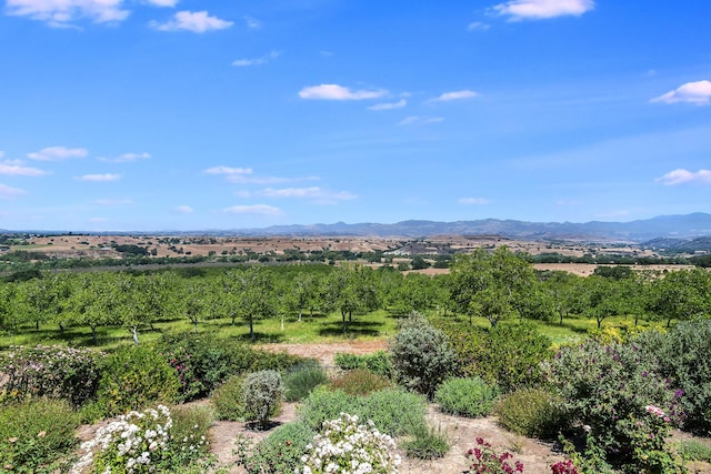 aerial view featuring a rural view and a mountain view