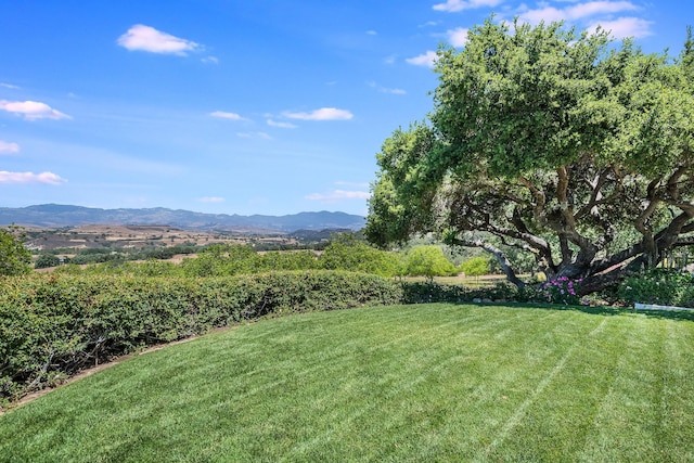 view of yard with a mountain view