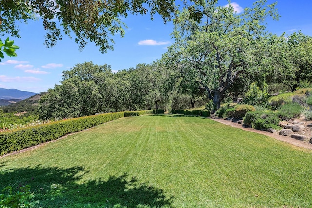 view of yard with a mountain view