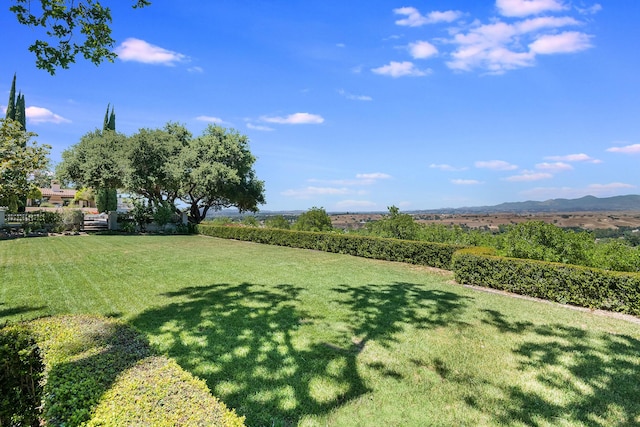 view of yard featuring a rural view and a mountain view