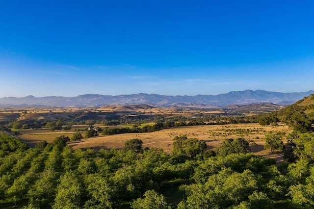 view of mountain feature