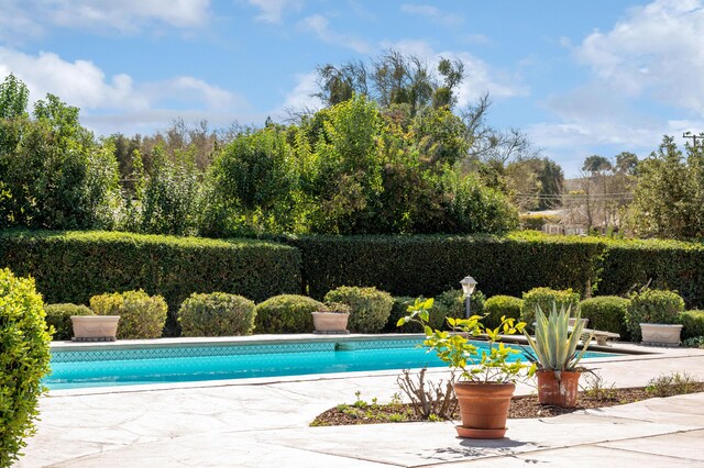 2385 Janin Pl, Solvang, CA 93463 - view of swimming pool