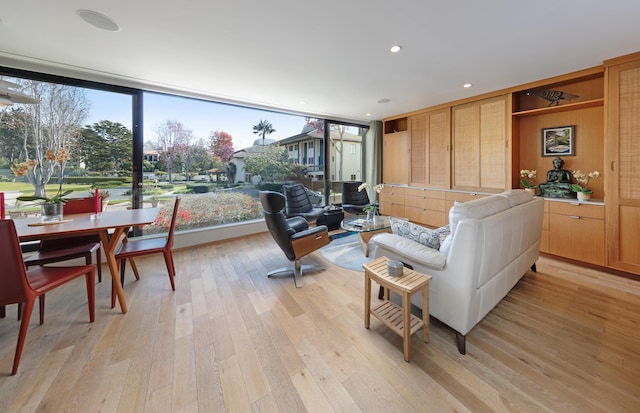 living room with light hardwood / wood-style floors