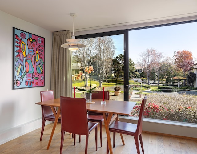 dining space with light hardwood / wood-style flooring