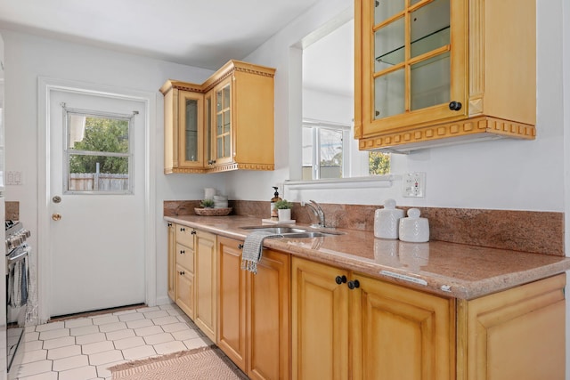 kitchen with light stone countertops, stainless steel range oven, glass insert cabinets, and a sink