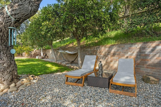 view of yard with a patio area
