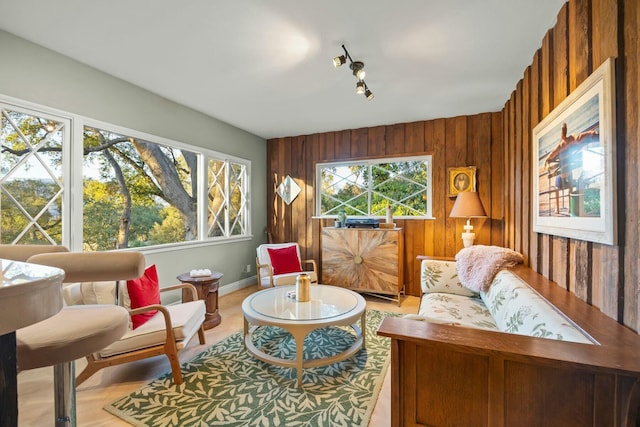 sitting room with wood finished floors, plenty of natural light, baseboards, and wood walls