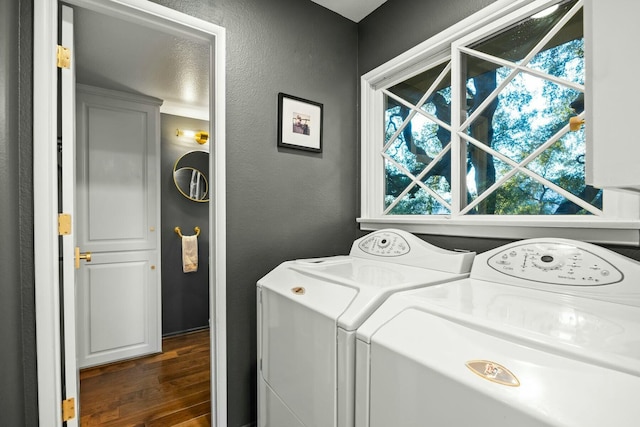 laundry area featuring washing machine and clothes dryer, a textured wall, dark wood-style floors, and laundry area