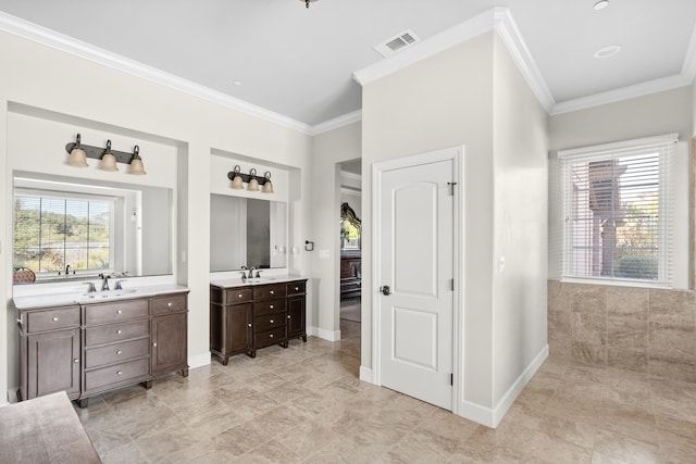 bathroom featuring ornamental molding and vanity