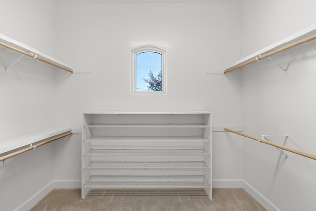 walk in closet featuring light carpet