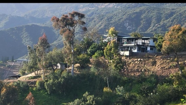 2911 Holly Rd, Santa Barbara, CA 93105 - photo 11