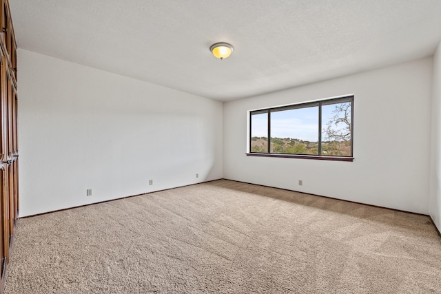 empty room with carpet flooring and a textured ceiling