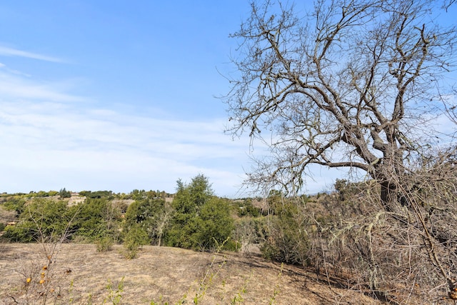 view of nature