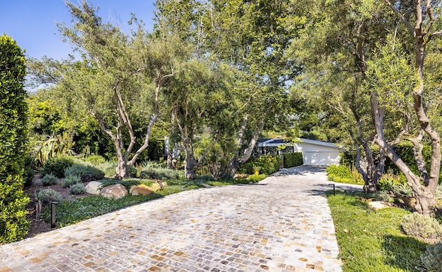 view of property hidden behind natural elements