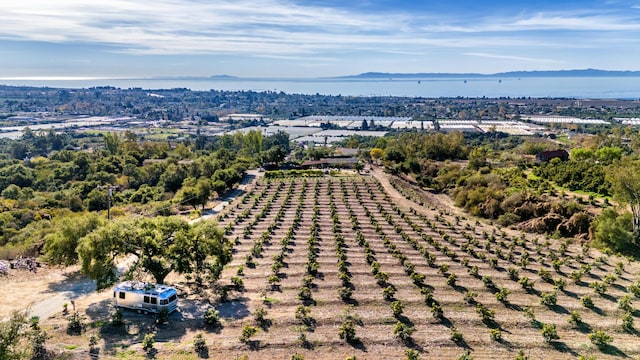 birds eye view of property with a mountain view