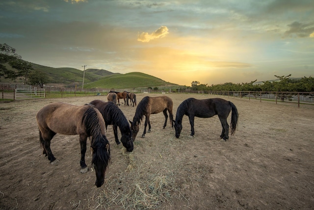 view of horse barn with a rural view and a mountain view