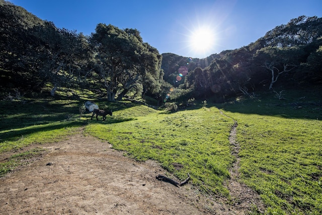 view of yard with a mountain view