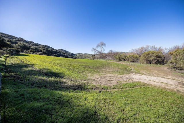 view of yard with a rural view