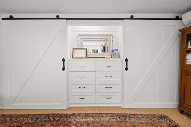 closet featuring a wall mounted AC