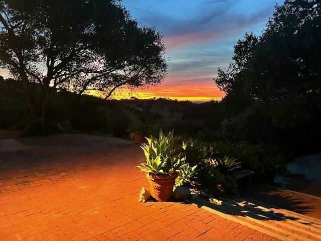 view of local wilderness