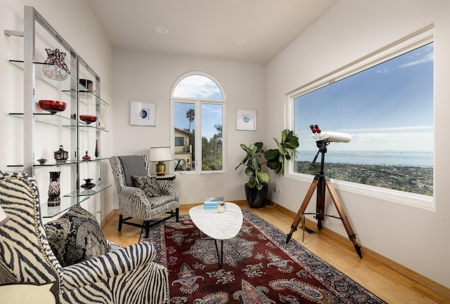 sitting room featuring baseboards and light wood-style floors