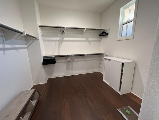 walk in closet with dark wood finished floors